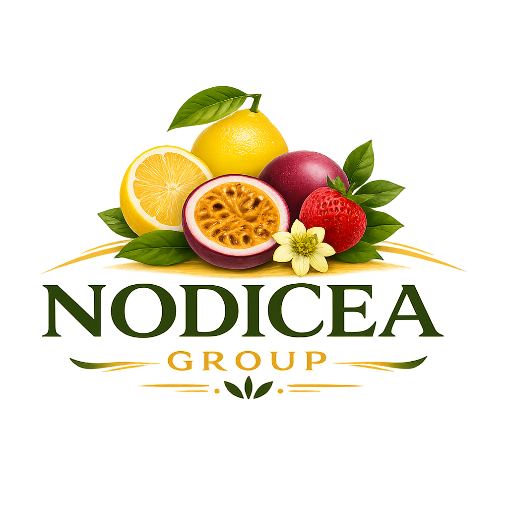 NODICEA GROUP